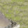 ~ Temple ~ 22/66